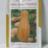 SUPER SWEET PUMPKIN 300 SEEDS