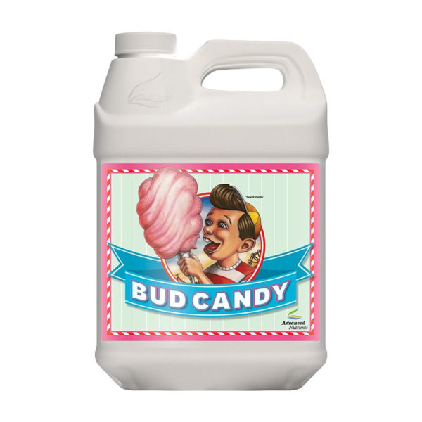 BUD CANDY